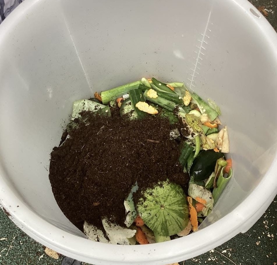 Sustainability at Banana Moon Catterick