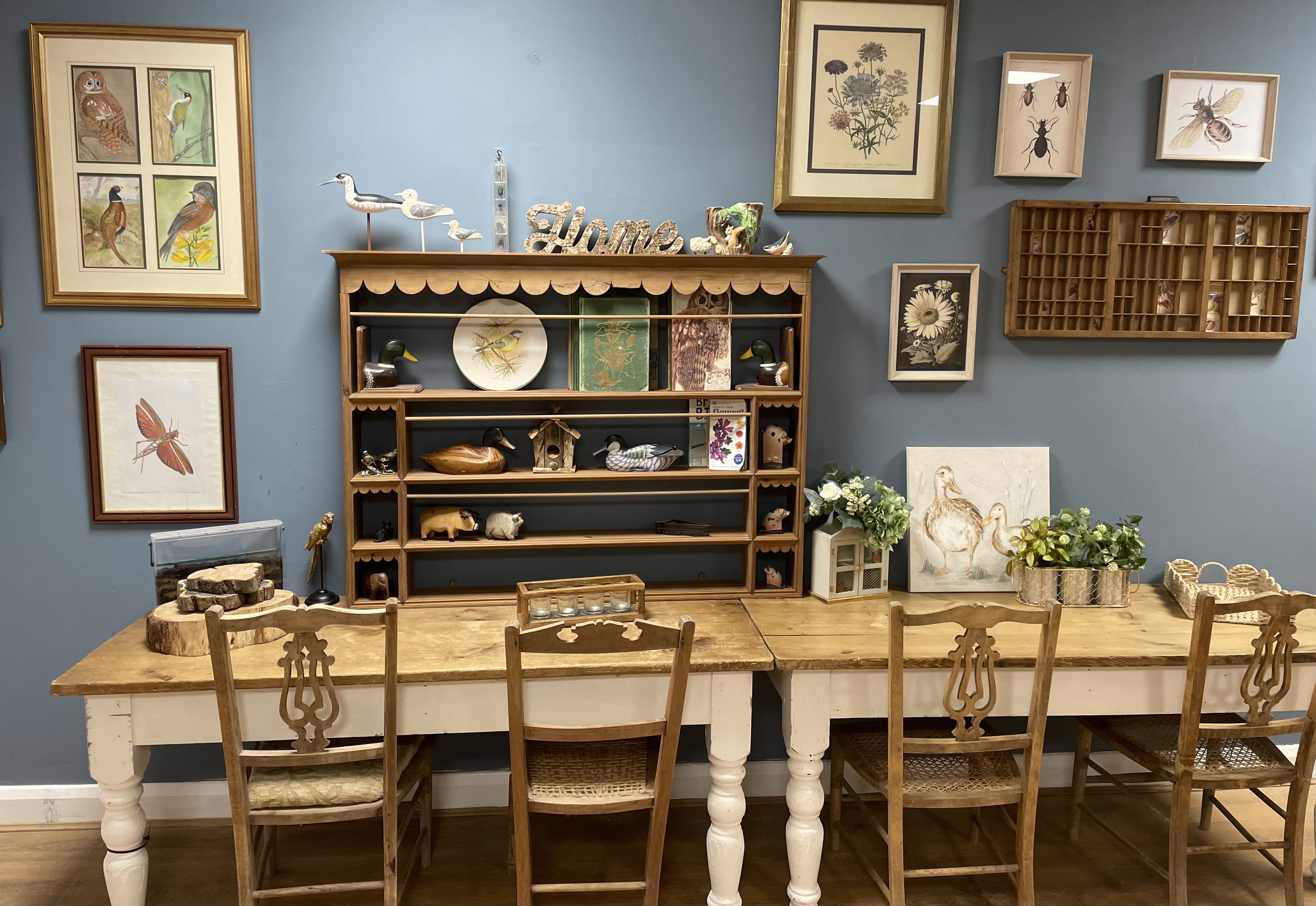 Our recent renovations